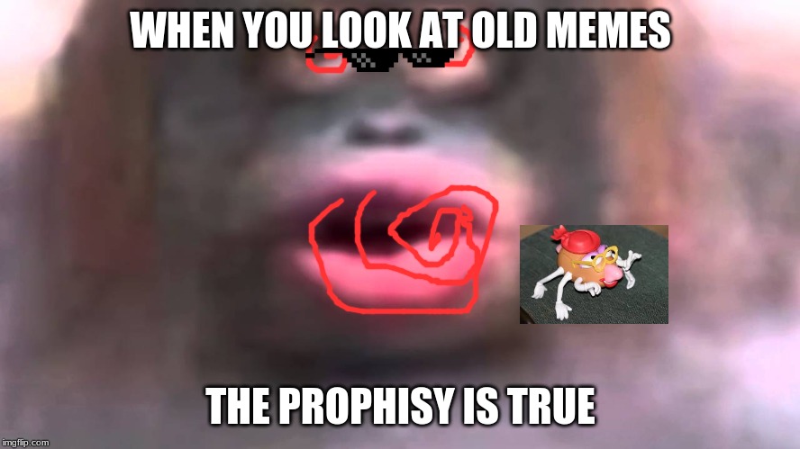 Uh oh... stinky |  WHEN YOU LOOK AT OLD MEMES; THE PROPHISY IS TRUE | image tagged in uh oh stinky | made w/ Imgflip meme maker