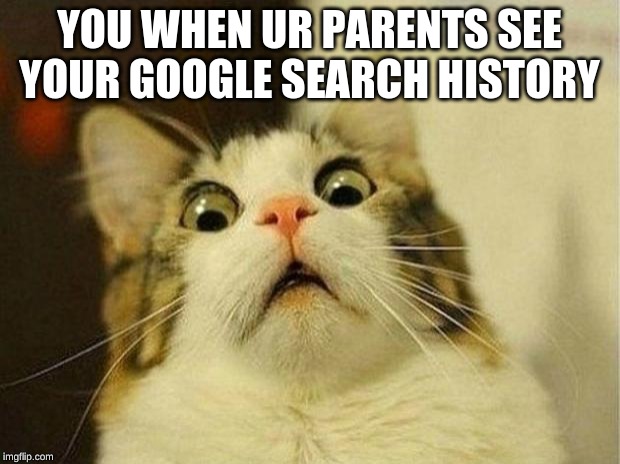 Scared Cat Meme | YOU WHEN UR PARENTS SEE YOUR GOOGLE SEARCH HISTORY | image tagged in memes,scared cat | made w/ Imgflip meme maker