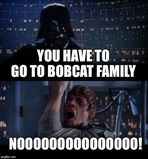 Star Wars No Meme | YOU HAVE TO GO TO BOBCAT FAMILY; NOOOOOOOOOOOOOOO! | image tagged in memes,star wars no | made w/ Imgflip meme maker