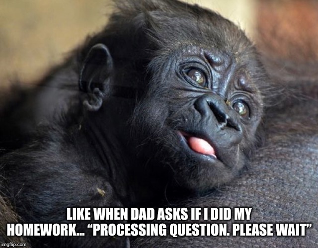 LIKE WHEN DAD ASKS IF I DID MY HOMEWORK... “PROCESSING QUESTION. PLEASE WAIT” | made w/ Imgflip meme maker
