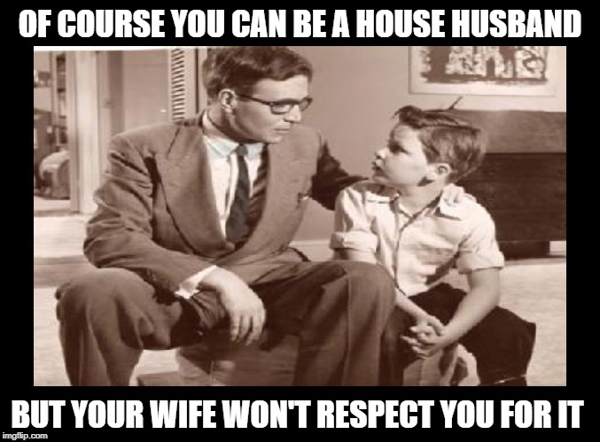 House Husband Advice | OF COURSE YOU CAN BE A HOUSE HUSBAND; BUT YOUR WIFE WON'T RESPECT YOU FOR IT | image tagged in father and son retro,husband,marriage,life lessons,so true memes,good advice | made w/ Imgflip meme maker