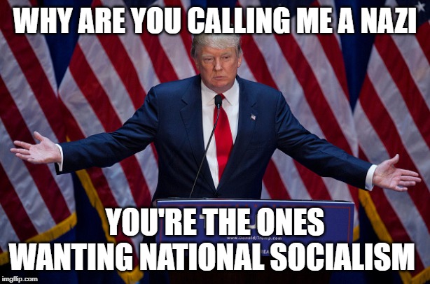 The New Mod Squad | WHY ARE YOU CALLING ME A NAZI; YOU'RE THE ONES WANTING NATIONAL SOCIALISM | image tagged in donald trump,squad,socialism,hipocrisy,politics,political saboteurs | made w/ Imgflip meme maker