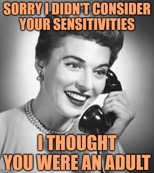 Sassy Sensitivity | SORRY I DIDN'T CONSIDER
YOUR SENSITIVITIES; I THOUGHT YOU WERE AN ADULT | image tagged in vintage phone,overly sensitive,sassy,memes by eve,strong women,lol so funny | made w/ Imgflip meme maker