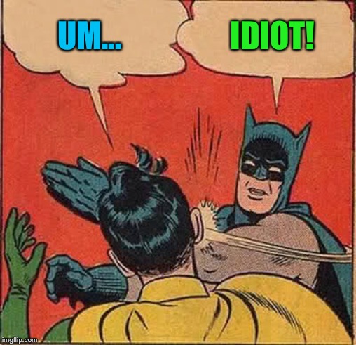 Batman Slapping Robin Meme | UM... IDIOT! | image tagged in memes,batman slapping robin | made w/ Imgflip meme maker