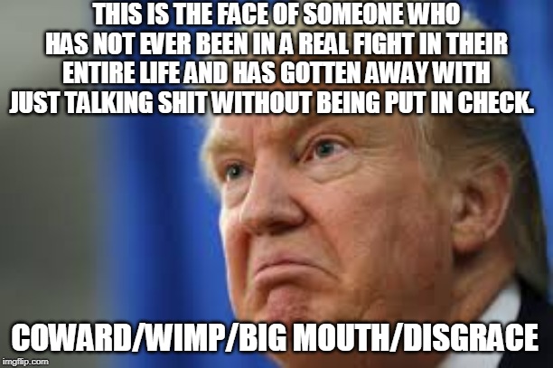 COWARD/WIMP/BIG MOUTH/DISGRACE | THIS IS THE FACE OF SOMEONE WHO HAS NOT EVER BEEN IN A REAL FIGHT IN THEIR ENTIRE LIFE AND HAS GOTTEN AWAY WITH JUST TALKING SHIT WITHOUT BEING PUT IN CHECK. COWARD/WIMP/BIG MOUTH/DISGRACE | image tagged in trump,coward,wimp,disgrace,big mouth | made w/ Imgflip meme maker