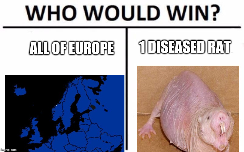 Who Would Win? Meme | 1 DISEASED RAT; ALL OF EUROPE | image tagged in memes,who would win | made w/ Imgflip meme maker