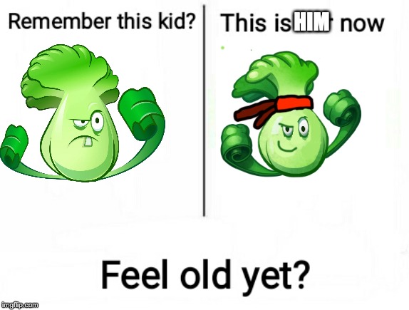 the left bonk choy was my original oc, and my avatar for the pokemon dex entryit sucked. | HIM | image tagged in feel old yet,mythic wasteland | made w/ Imgflip meme maker