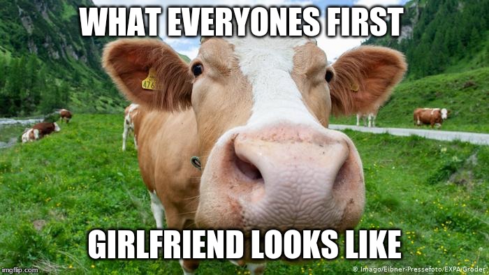 cow close up | WHAT EVERYONES FIRST; GIRLFRIEND LOOKS LIKE | image tagged in cow close up | made w/ Imgflip meme maker