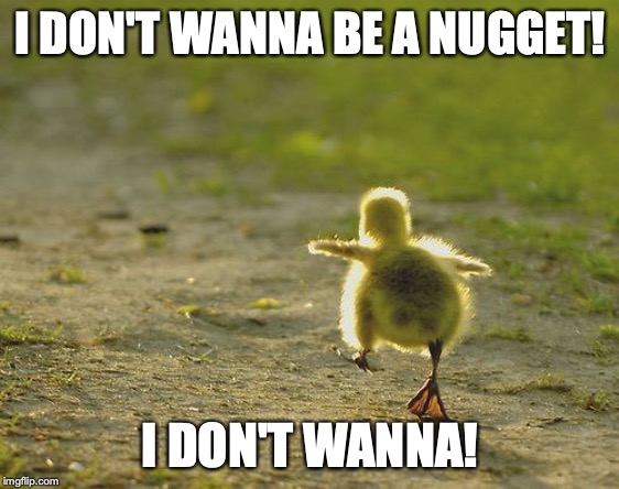 No nuggs for you. | I DON'T WANNA BE A NUGGET! I DON'T WANNA! | image tagged in duck life,waddle | made w/ Imgflip meme maker