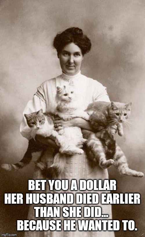 Crazy cat lady | BET YOU A DOLLAR HER HUSBAND DIED EARLIER THAN SHE DID... 
    BECAUSE HE WANTED TO. | image tagged in crazy cat lady | made w/ Imgflip meme maker