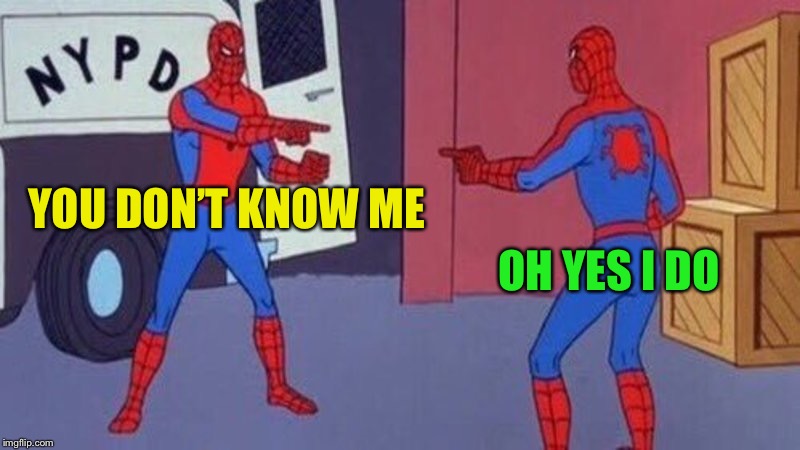 spiderman pointing at spiderman | YOU DON’T KNOW ME OH YES I DO | image tagged in spiderman pointing at spiderman | made w/ Imgflip meme maker