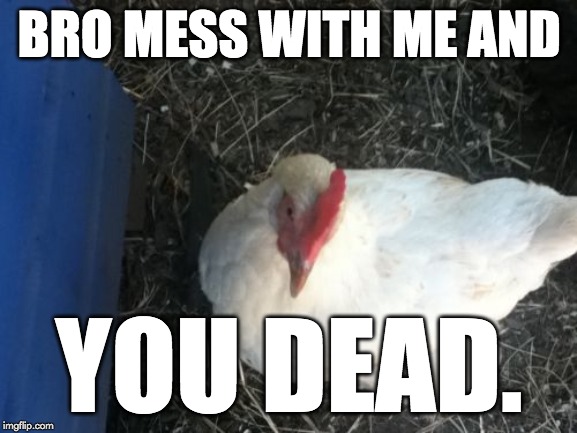 Angry Chicken Boss | BRO MESS WITH ME AND; YOU DEAD. | image tagged in memes,angry chicken boss | made w/ Imgflip meme maker