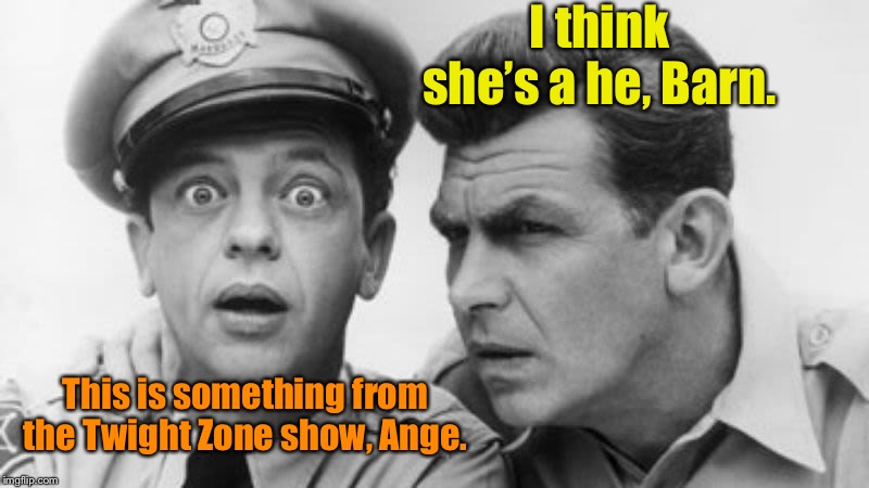 andy griffith and barney fife | I think she’s a he, Barn. This is something from the Twight Zone show, Ange. | image tagged in andy griffith and barney fife | made w/ Imgflip meme maker