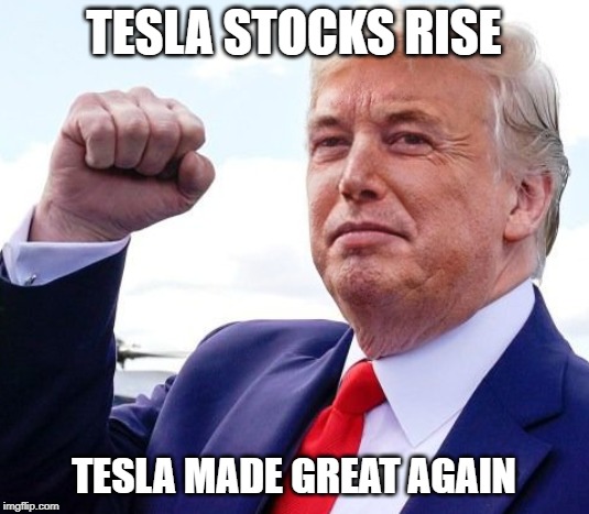 Musk Trump | TESLA STOCKS RISE; TESLA MADE GREAT AGAIN | image tagged in musk trump | made w/ Imgflip meme maker