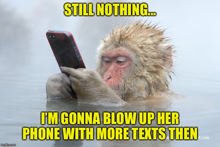 Monkey Phone | STILL NOTHING... I’M GONNA BLOW UP HER PHONE WITH MORE TEXTS THEN | image tagged in monkey phone | made w/ Imgflip meme maker