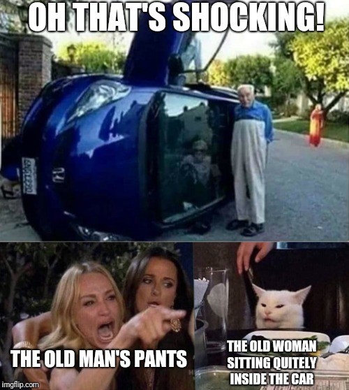 OH THAT'S SHOCKING! THE OLD MAN'S PANTS; THE OLD WOMAN SITTING QUITELY INSIDE THE CAR | image tagged in woman yelling at cat | made w/ Imgflip meme maker