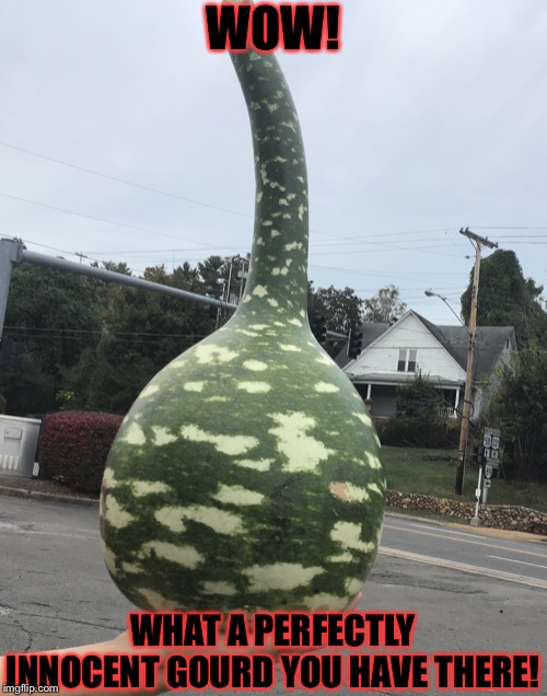 I’m Sorry... | WOW! WHAT A PERFECTLY INNOCENT GOURD YOU HAVE THERE! | image tagged in jokes,i'm sorry | made w/ Imgflip meme maker