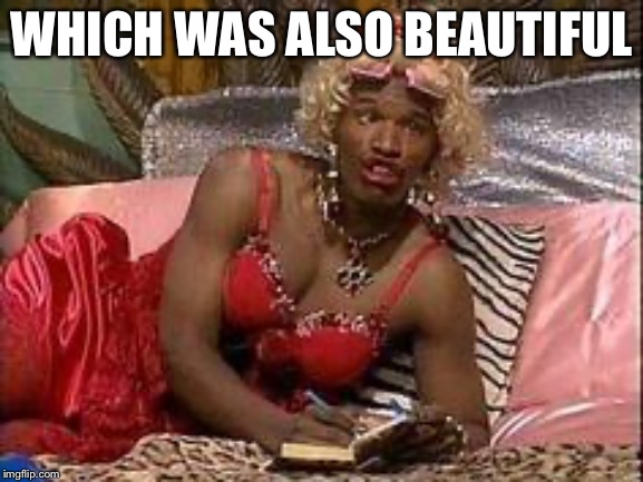 Wanda - in living color  | WHICH WAS ALSO BEAUTIFUL | image tagged in wanda - in living color | made w/ Imgflip meme maker