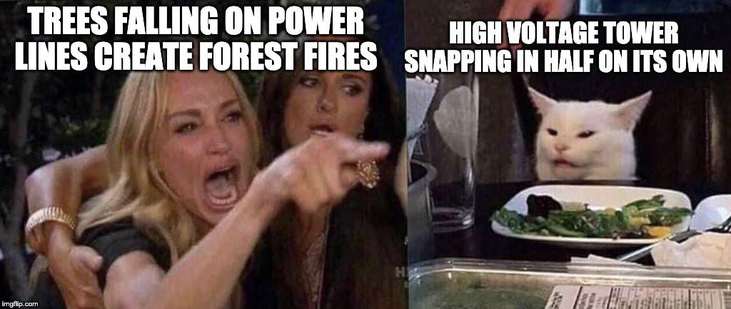 woman yelling at cat | TREES FALLING ON POWER LINES CREATE FOREST FIRES HIGH VOLTAGE TOWER SNAPPING IN HALF ON ITS OWN | image tagged in woman yelling at cat | made w/ Imgflip meme maker