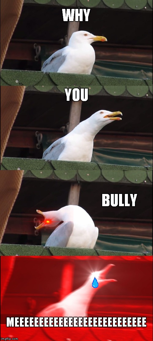 Inhaling Seagull | WHY; YOU; BULLY; MEEEEEEEEEEEEEEEEEEEEEEEEEEE | image tagged in memes,inhaling seagull | made w/ Imgflip meme maker