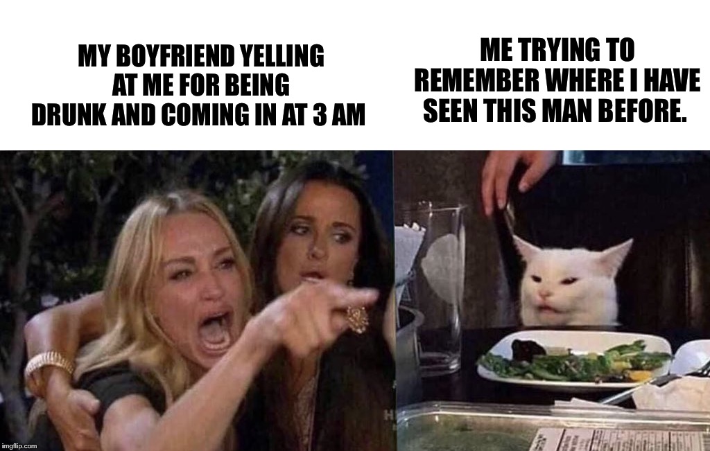 woman yelling at cat | ME TRYING TO REMEMBER WHERE I HAVE SEEN THIS MAN BEFORE. MY BOYFRIEND YELLING AT ME FOR BEING DRUNK AND COMING IN AT 3 AM | image tagged in woman yelling at cat | made w/ Imgflip meme maker