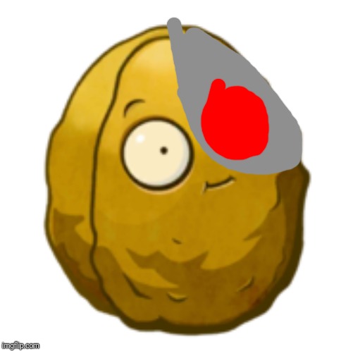 Wall-nut | image tagged in wall-nut | made w/ Imgflip meme maker