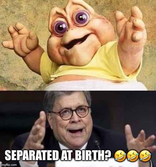 Separated at birth | SEPARATED AT BIRTH? 🤣🤣🤣 | image tagged in separated at birth,bill barr,william bar,donald trump | made w/ Imgflip meme maker