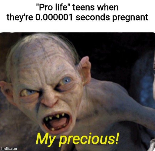 "Pro life" teens when they're 0.000001 seconds pregnant; My precious! | image tagged in memes | made w/ Imgflip meme maker