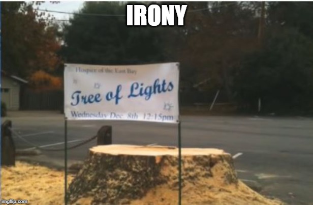 If Irony Were an Image | IRONY | image tagged in ironic | made w/ Imgflip meme maker
