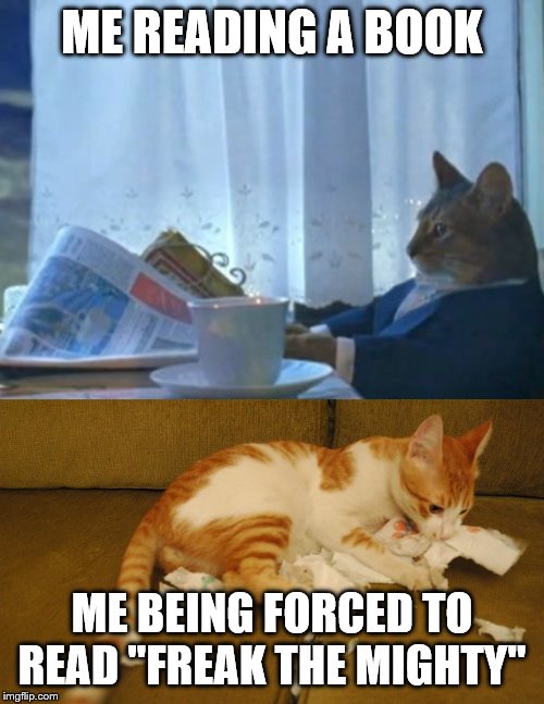 ME READING A BOOK; ME BEING FORCED TO READ "FREAK THE MIGHTY" | image tagged in memes,i should buy a boat cat | made w/ Imgflip meme maker