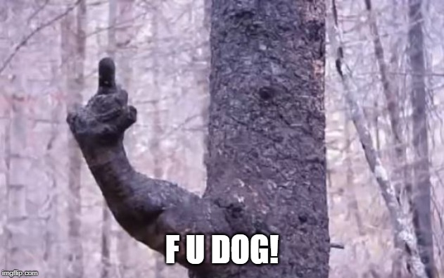 Fido Took a Wee Wee | F U DOG! | image tagged in tree | made w/ Imgflip meme maker