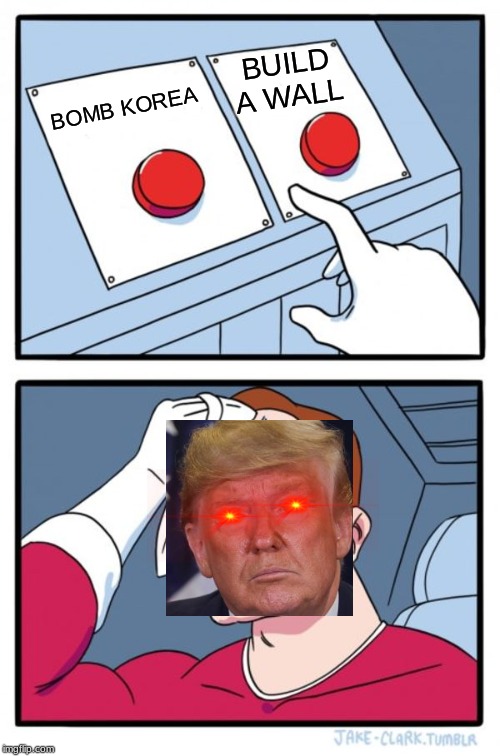 Two Buttons | BUILD A WALL; BOMB KOREA | image tagged in memes,two buttons | made w/ Imgflip meme maker