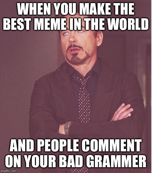 Face You Make Robert Downey Jr Meme | WHEN YOU MAKE THE BEST MEME IN THE WORLD; AND PEOPLE COMMENT ON YOUR BAD GRAMMER I | image tagged in memes,face you make robert downey jr | made w/ Imgflip meme maker