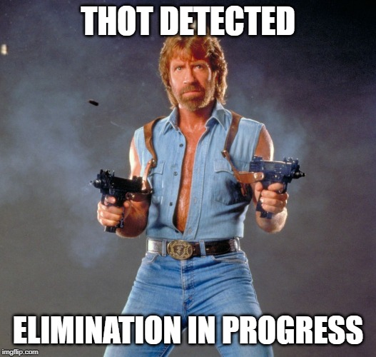 Chuck Norris Guns | THOT DETECTED; ELIMINATION IN PROGRESS | image tagged in memes,chuck norris guns,chuck norris | made w/ Imgflip meme maker
