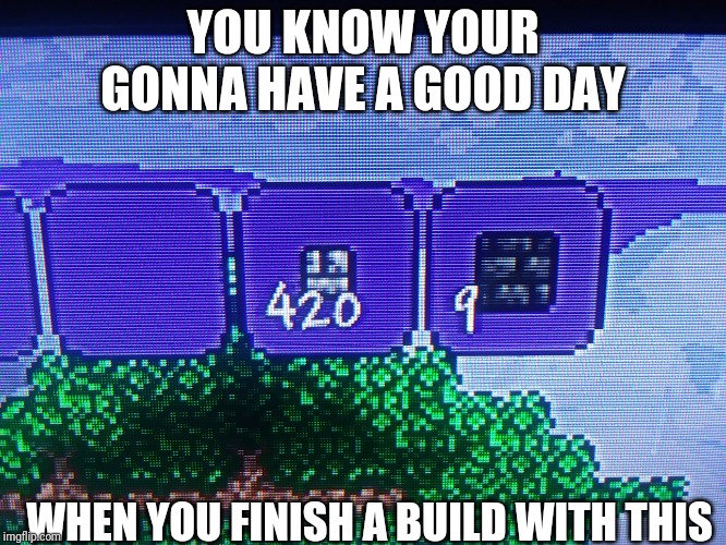 YOU KNOW YOUR GONNA HAVE A GOOD DAY; WHEN YOU FINISH A BUILD WITH THIS | image tagged in terraria,420 | made w/ Imgflip meme maker