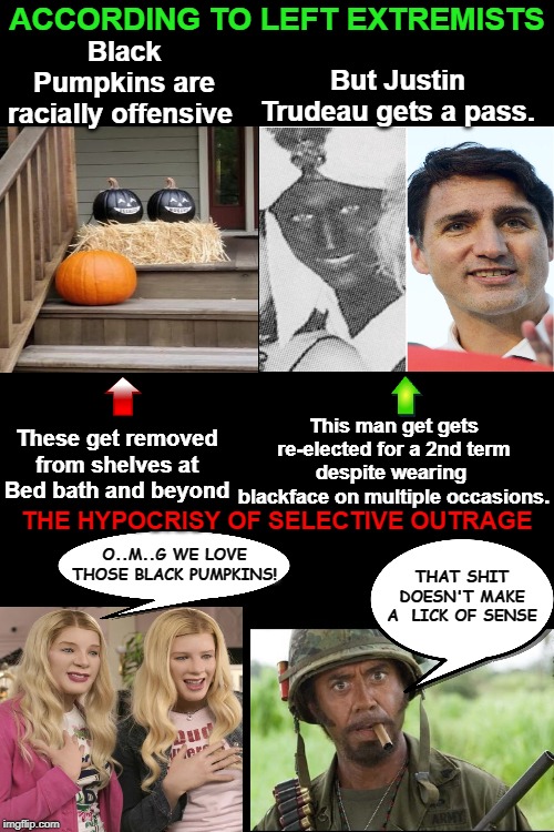 The agenda to racially divide everyone by pretending everything is racist but choose to ignore real racism when it's convenient | Black Pumpkins are racially offensive; ACCORDING TO LEFT EXTREMISTS; But Justin Trudeau gets a pass. This man get gets re-elected for a 2nd term despite wearing  blackface on multiple occasions. These get removed from shelves at Bed bath and beyond; THE HYPOCRISY OF SELECTIVE OUTRAGE; O..M..G WE LOVE THOSE BLACK PUMPKINS! THAT SHIT DOESN'T MAKE A  LICK OF SENSE | image tagged in black background,racial divide,race baiting,hypocrisy,selective outrage,black pumpkins | made w/ Imgflip meme maker