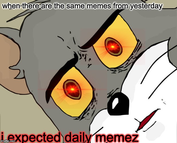 When their are no daily memez today | when there are the same memes from yesterday; i expected daily memez | image tagged in memes,unsettled tom,funny | made w/ Imgflip meme maker