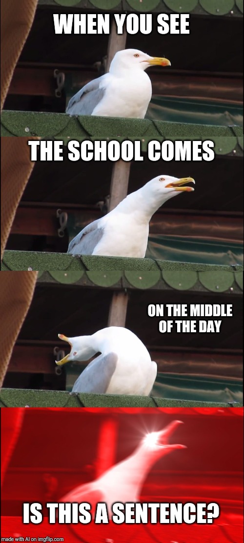 Inhaling Seagull | WHEN YOU SEE; THE SCHOOL COMES; ON THE MIDDLE OF THE DAY; IS THIS A SENTENCE? | image tagged in memes,inhaling seagull | made w/ Imgflip meme maker