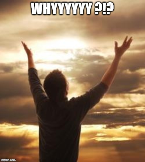 Why God Why | WHYYYYYY ?!? | image tagged in why god why | made w/ Imgflip meme maker