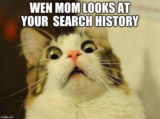 Scared Cat Meme | WEN MOM LOOKS AT YOUR  SEARCH HISTORY | image tagged in memes,scared cat | made w/ Imgflip meme maker