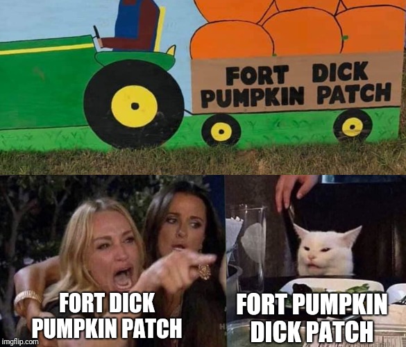 FORT DICK PUMPKIN PATCH; FORT PUMPKIN DICK PATCH | image tagged in woman yelling at cat | made w/ Imgflip meme maker