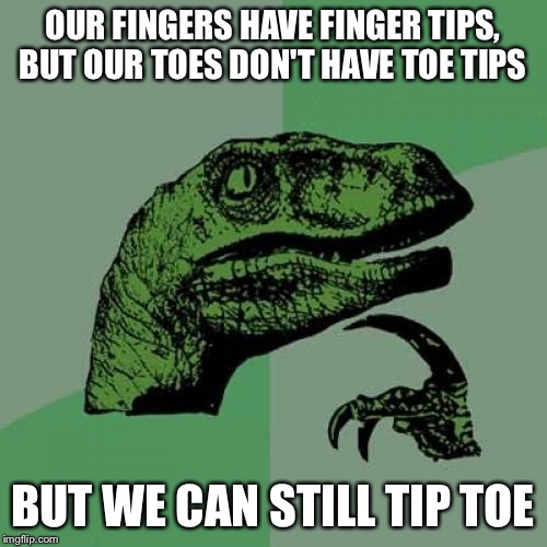 Philosoraptor | OUR FINGERS HAVE FINGER TIPS, BUT OUR TOES DON'T HAVE TOE TIPS; BUT WE CAN STILL TIP TOE | image tagged in memes,philosoraptor | made w/ Imgflip meme maker