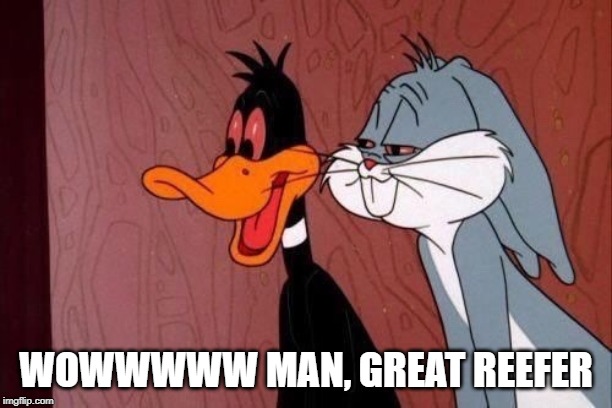 They is High | WOWWWWW MAN, GREAT REEFER | image tagged in looney tunes | made w/ Imgflip meme maker