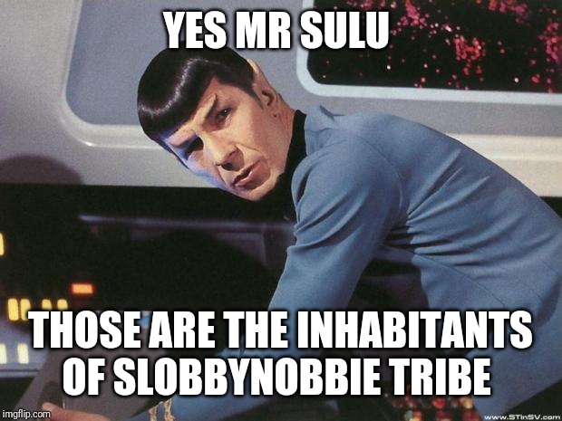 Spock | YES MR SULU; THOSE ARE THE INHABITANTS OF SLOBBYNOBBIE TRIBE | image tagged in spock | made w/ Imgflip meme maker