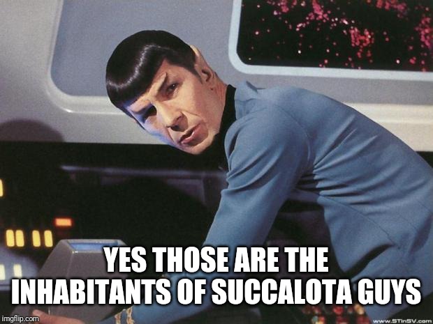 Spock | YES THOSE ARE THE INHABITANTS OF SUCCALOTA GUYS | image tagged in spock | made w/ Imgflip meme maker