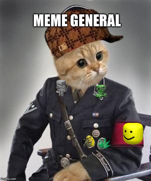 Grammar Nazi Cat | MEME GENERAL | image tagged in grammar nazi cat | made w/ Imgflip meme maker