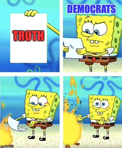 Spongebob Burning Paper | DEMOCRATS; TRUTH | image tagged in spongebob burning paper | made w/ Imgflip meme maker