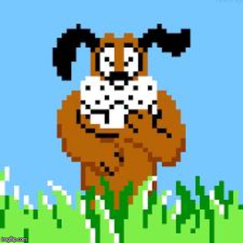 DUCK HUNT DOG LAUGHS AT YOUR STUPIDITY | image tagged in duck hunt dog laughs at your stupidity | made w/ Imgflip meme maker