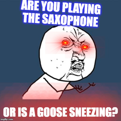 for people that play the sax | ARE YOU PLAYING THE SAXOPHONE; OR IS A GOOSE SNEEZING? | image tagged in memes,y u no | made w/ Imgflip meme maker