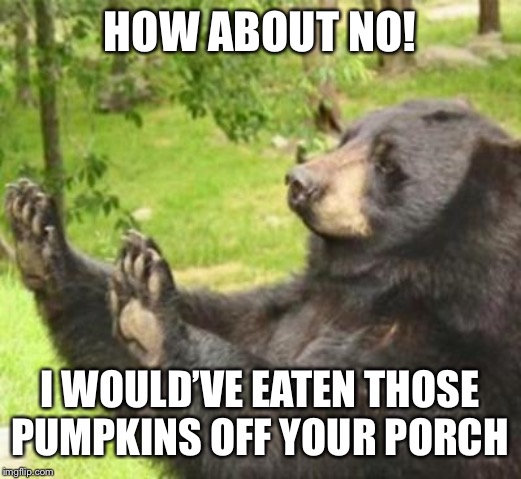 how about no | HOW ABOUT NO! I WOULD’VE EATEN THOSE PUMPKINS OFF YOUR PORCH | image tagged in how about no | made w/ Imgflip meme maker